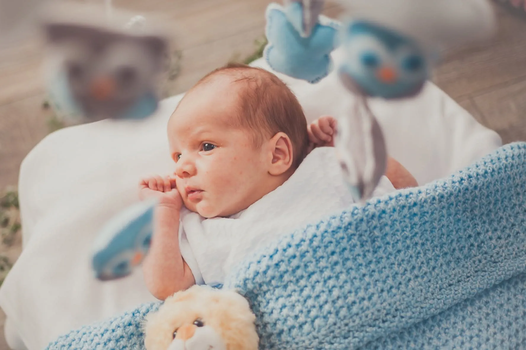 Newborn awake and looking to the side, wrapped in white with a blue knitted blanket and soft toys around.