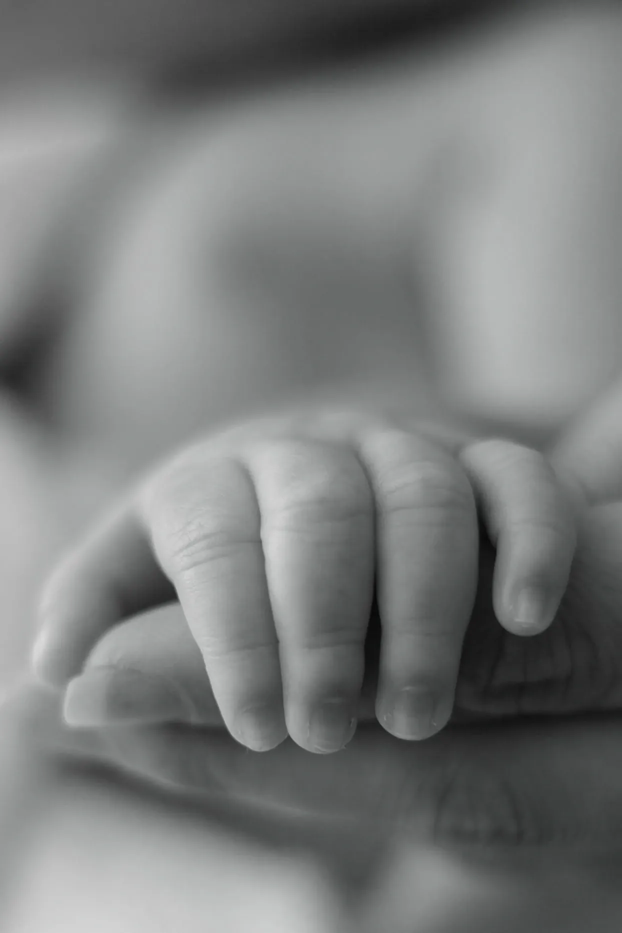 Black and white close-up of a newborn's tiny fingers curled over a parent's hand.