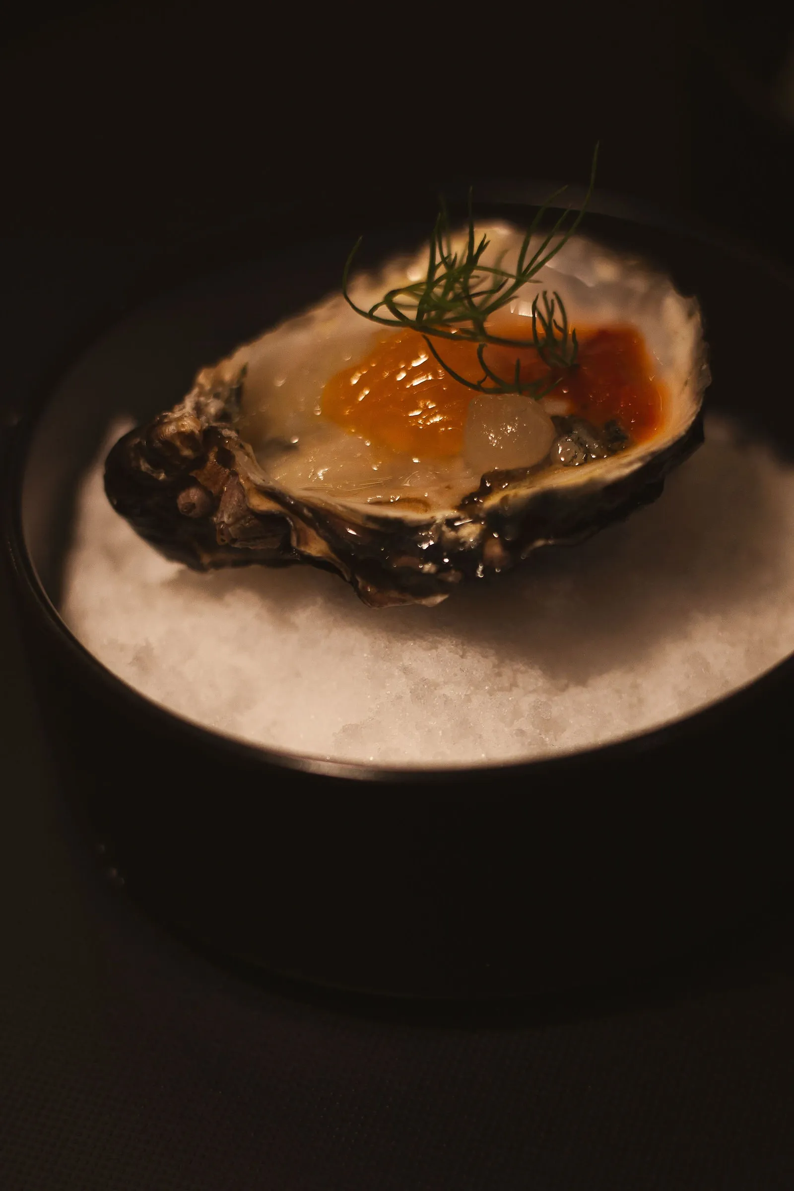 Close-up of an oyster on its half shell over a frosty white bed, a feathery green sprig and amber pearls catching low side light.
